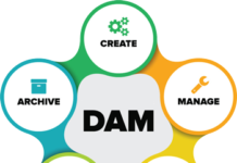 Leverage the Power of Digital Asset Management