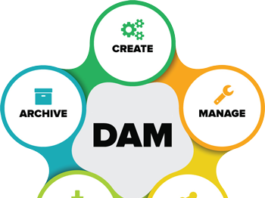 Leverage the Power of Digital Asset Management
