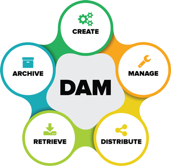 Leverage the Power of Digital Asset Management