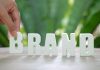 Factors That Have A Strong Impact On Building A Brand