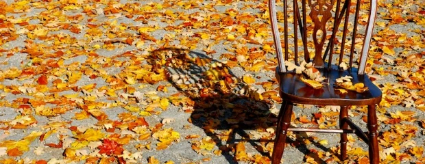 1093629_56631523-620x240-1.jpg